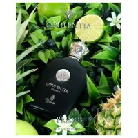 Мъжки парфюм Opulentia FLAME Emir 100 мл.  PARIS CORNER