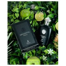 Мъжки парфюм Opulentia FLAME Emir 100 мл.  PARIS CORNER