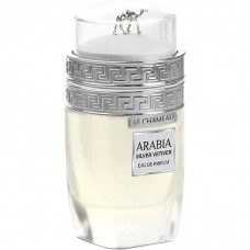 Мъжки парфюм  Arabia SILVER VETIVER 100 мл. EDP от LE CHAMEAU, EMPER, Вдъхновен от Tom Ford/Grey Vetiver