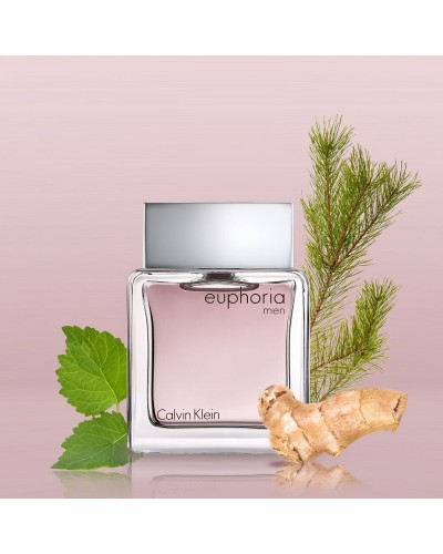 Парфюм за мъже EUPHORIA MEN 100 мл. EDT - CK  от Calvin Klein 