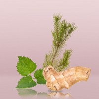 Парфюм за мъже EUPHORIA MEN 100 мл. EDT - CK  от Calvin Klein 