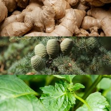 Парфюм за мъже EUPHORIA MEN 100 мл. EDT - CK  от Calvin Klein 