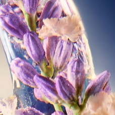 Парфюм за мъже DAVIDOFF Cool Elixir Parfum Intense EDP 50 мл. For MEN