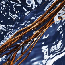 Парфюм за жени DAVIDOFF Cool Water Oceanic Edition EDT 100 мл. 