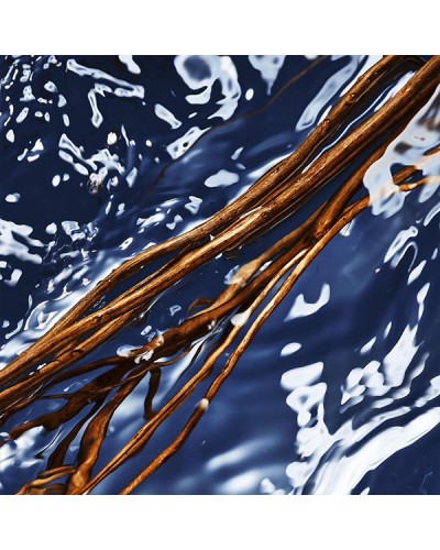 Парфюм за жени DAVIDOFF Cool Water Oceanic Edition EDT 100 мл. 
