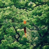 Парфюм за жени Tropicale Tentation EDP 100 мл. от Yves Rocher